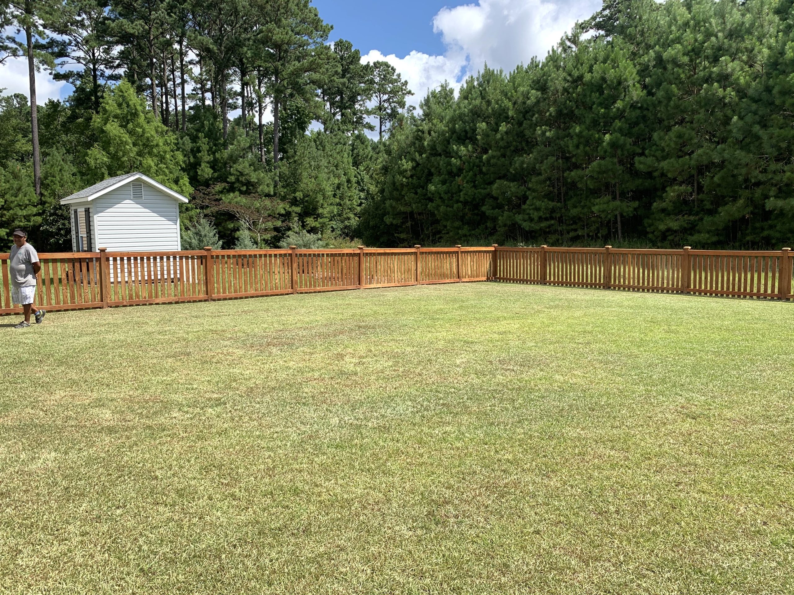Services 4 Centipede Sod Installed to Backyard In New Bern
